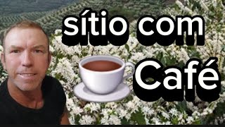 MARAVILHOSO sítio DE CAFÉ E INVERNADA 8 ALQUEIRES EM IBAITI PR R 18000000 por alqueire [upl. by Ezarra50]