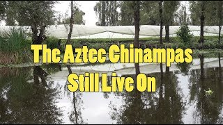 The Aztec Chinampas Live On [upl. by Tterag]