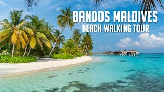 BANDOS RESORT MALDIVES WALKING TOUR 4k Binaural Audio🎧 [upl. by Caddaric992]