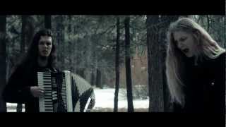 Xanthochroid  Land of Snow and Sorrow Folk Version Wintersun Cover [upl. by Eirotal]