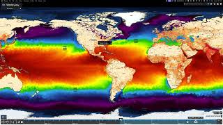 Daily ocean temperatures for Mar to Nov 2023 with focus on Florida play 2xspeed and in 4k [upl. by Annairdna159]