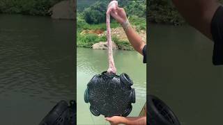 This Amazing Fishing Trap Went Viral on the Internet shorts trending viralvideo [upl. by Vola515]