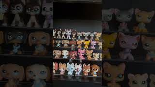 MY ENTIRE CAT amp DOG LITTLEST PET SHOP COLLECTION [upl. by Gustavus]