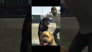 Chop meeting Soulmate 😜gta5 gtav short viral trending gta5mods gtavcheatcodes godofwar [upl. by Halie220]