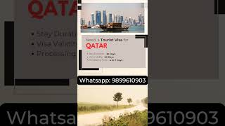 Qatar Visa  Qatar Visa Check shorts youtubeshorts trending [upl. by Ajtak]