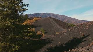 ETNA MONTI SARTORIUS  BMPCC OG [upl. by Iaverne709]