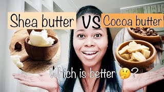 Shea butter VS Cocoa butter which one is good for your skin  Debunking skincare myths [upl. by Fitzsimmons]