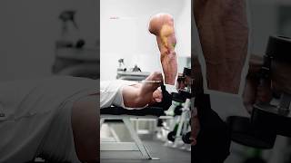 Episode 57 Part 4 what’s the best exercises for Arms gym shorts arms [upl. by Aneetsirk]