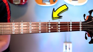 Music Theory For BASSISTS  What You MUST Know [upl. by Learsiy392]