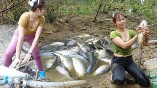 Full Video Fishing Techniques in The Wild How to Fishing in The Wild Harvest Many Big Fish [upl. by Swiercz]