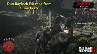 Red Dead Redemption 2  Duo Baylock Escaped from Strawberry RDR2 Badass Black Missouri Fox Trotter [upl. by Dermott]