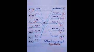 Organic Chemistry Reaction Of Grignard Reagents For Quick Revision Short Trick [upl. by Marga674]