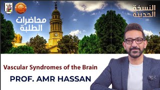 Vascular Syndromes of the Brain  أدعمرو حسن الحسني أستاذ المخ والأعصاب [upl. by Nahsez963]