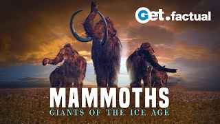 Tundra Tales Mammoths Resurrection Unveils Earths  Titans of the Ice Age  Nature Bites [upl. by Siegel]