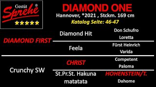 Diamond One v Diamond First  Christ  HohensteinT [upl. by Aluap371]