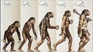 Evolutionary Predictions [upl. by Hanahs686]