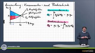 0265 Anwendung Flächeninterpretation Konsumenten und Produzentenrente [upl. by Ayekram456]