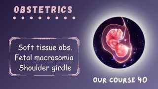 Rev Soft tissue obs  Fetal macrosomia amp Shoulder dystocia  Page 220  224  Obstetrics Module 40 [upl. by Aihsekram]