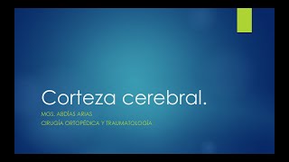 Corteza cerebral Sep 22 [upl. by Slemmer]