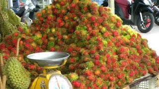 A Rambutan  Lychee Fruit Comparison  Nephelium lappaceum [upl. by Ahsek]