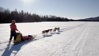 Aventure Inukshuk Chien de traineau au Québec [upl. by Almeeta]