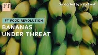 The blight that could decimate the world’s banana crop  FT Food Revolution [upl. by Ahearn]