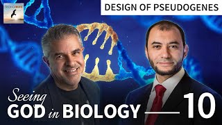 Pseudogenes are Junk Debunked  Seeing God in Biology  with Dr Fuz Rana [upl. by Hgieloj]