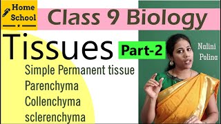 Tissues class 9 Biology Part2 [upl. by Astrix]