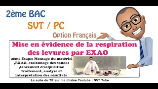 TP Mise en évidence de la respiration des levures par EXAO Etape 2 [upl. by Anaigroeg]