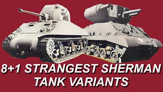 8  1 SUPER STRANGE M4 SHERMAN TANK VARIANTS  WWII DOCUMENTARY [upl. by Enneite301]