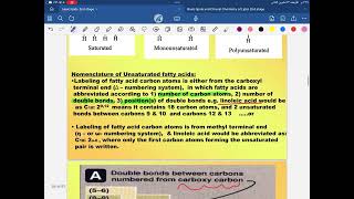 Biochemistry Lipid Metabolism second year part 4 [upl. by Enerehs]