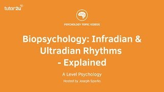 Biopsychology Infradian and Ultradian Rhythms Explained [upl. by Enidaj]