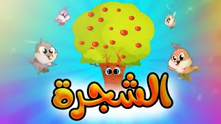 الشجرة  طيور بيبي Toyor Baby [upl. by Mariam]