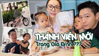 Nhà Bơ Phô Mai Dạo Này ☺️ Our Life Recently ❤️ TrinhPhamFamily [upl. by Cohlette]