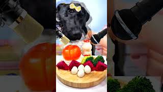 Unique mukbang dog food Eating Video dogfood pets puppy petfood [upl. by Rosenzweig]