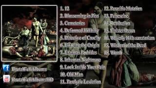 Brutal Full Albums  Brutal Death Metal amp Slamming Brutal Death Metal COMPILATION 2013HD [upl. by Williamson990]