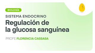 Regulación de la glucosa sanguínea  Biología  Sistema Endocrino  V7  Egg Educación [upl. by Esidnac]