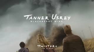 Tanner Usrey  Blackberry Wine From Twisters The Album Official Audio [upl. by Ahseim]