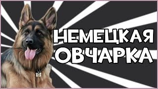 Прохождение игры Watch Dogs  Немецкая Овчарка 1 [upl. by Rramal]