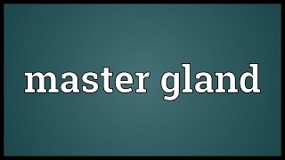 Master gland Meaning [upl. by Giacinta]