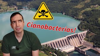 Toxinas☣️ nos encoros galegos galego subt🇪🇸🇬🇧 [upl. by Ramo]