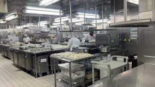 Sapphire Princess kitchen galley tour [upl. by Rufena]