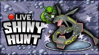 ✨Shiny Hunting Rayquaza Emerald Pokemon✨ [upl. by Yenahpets]