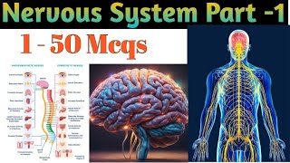 Nervous System  MCQs on Nervous System  Medical Exams  General knowledge [upl. by Brittany]