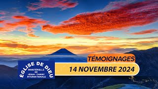 Témoignages – 14 novembre 2024  ÉDMJCI [upl. by Ienttirb]