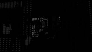 Nina Kraviz live dj set [upl. by Ythomit345]