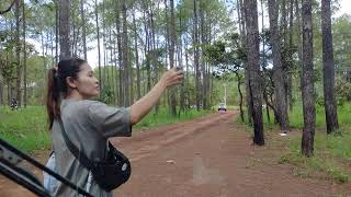 ផ្លូវទៅថ្មយលយនៅគីរីរម្យ  Kirirom National Park ភ្នំគីរីរម្យ ភ្នំគិរីរំ StreetView ចាន់ដារ៉ា [upl. by Fortier133]