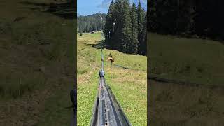 Mount pilatus Switzerland Tobogganing return to baseswitzerland holiday action nature [upl. by Nnayecats]