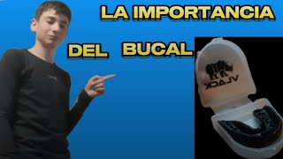 ¿para que sirve el bucal [upl. by Ikciv]