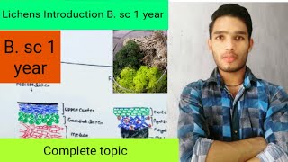 Lichens introduction classification and economic importance [upl. by Annaet]